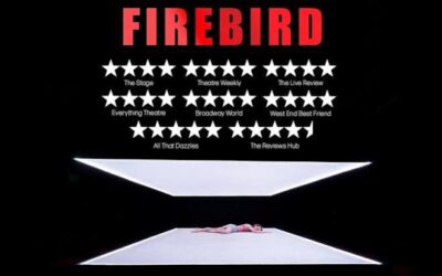 Behind the scenes of Firebird: supporting authentic storytelling about child sexual abuse